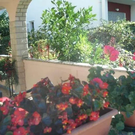 Bed & Breakfast In With Terrace, W-lan *